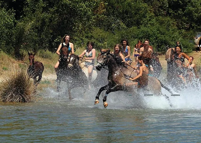 Iv Nyaraló